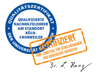 Qualifizierte Nachhilfelehrer