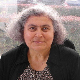Aysel Colak Aysel Colak