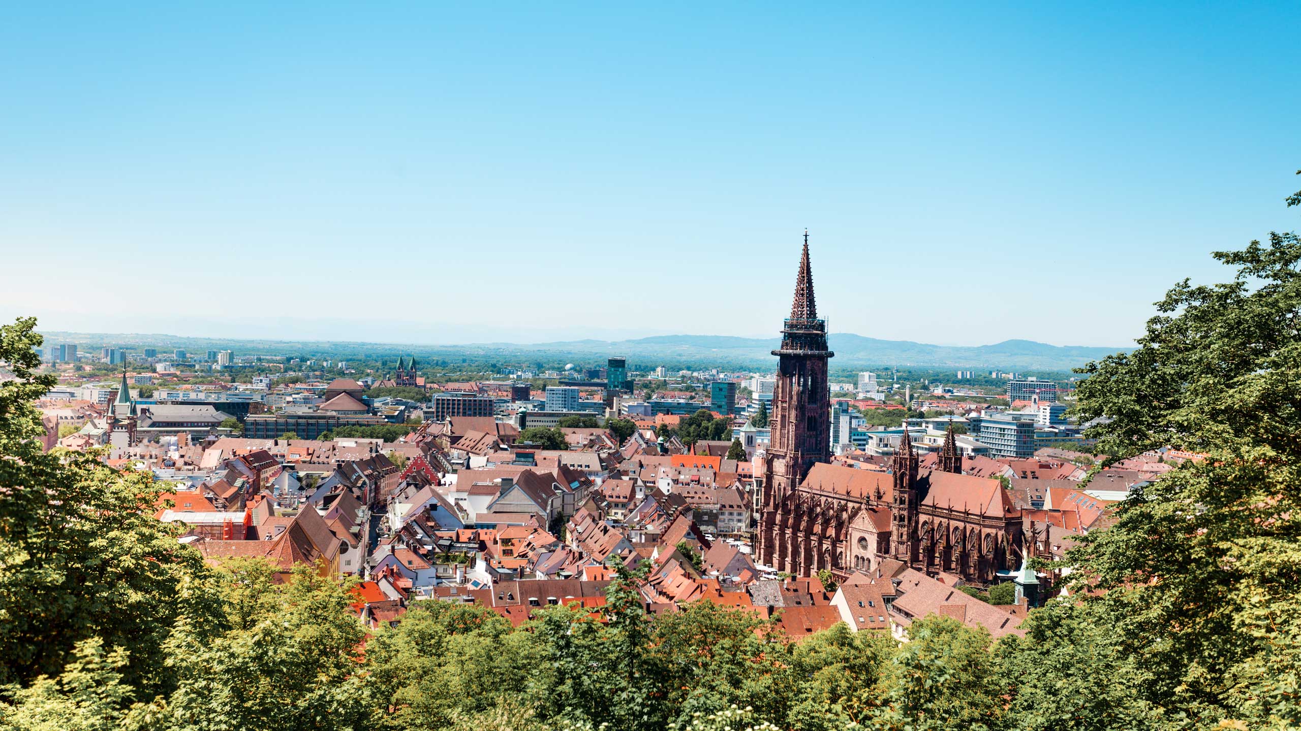 Foto der Stadt Freiburg
