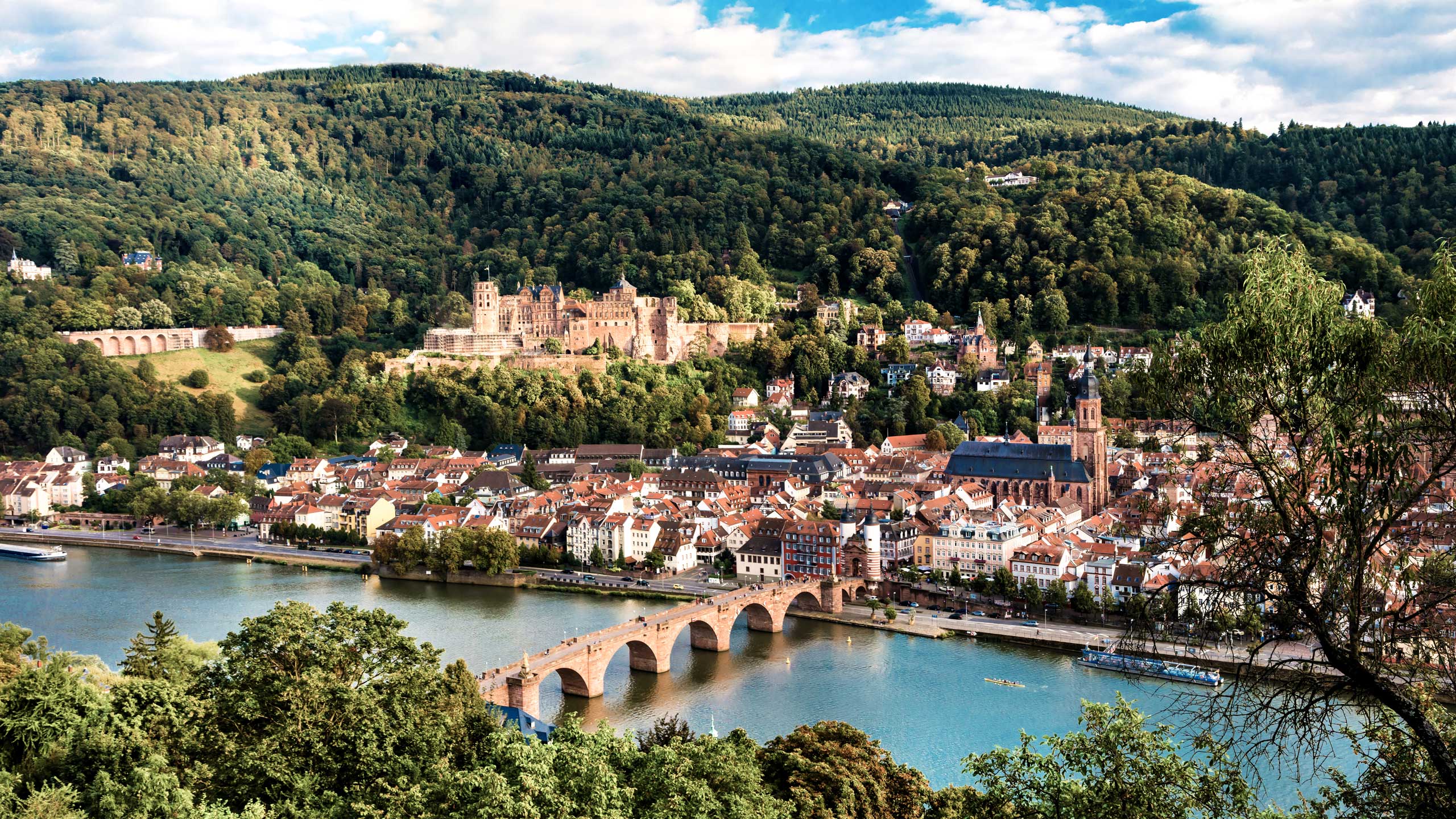 Foto der Stadt Heidelberg